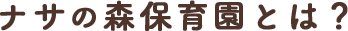 ナサの森保育園とは?